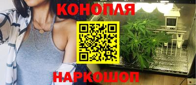 гашишное масло Камышлов
