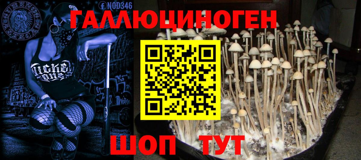 Южноуральск  Галлюциногенные грибы ЛСД  Вход с VPN 
