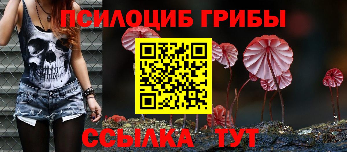 Псилоцибиновые грибы Psilocybe Южноуральск